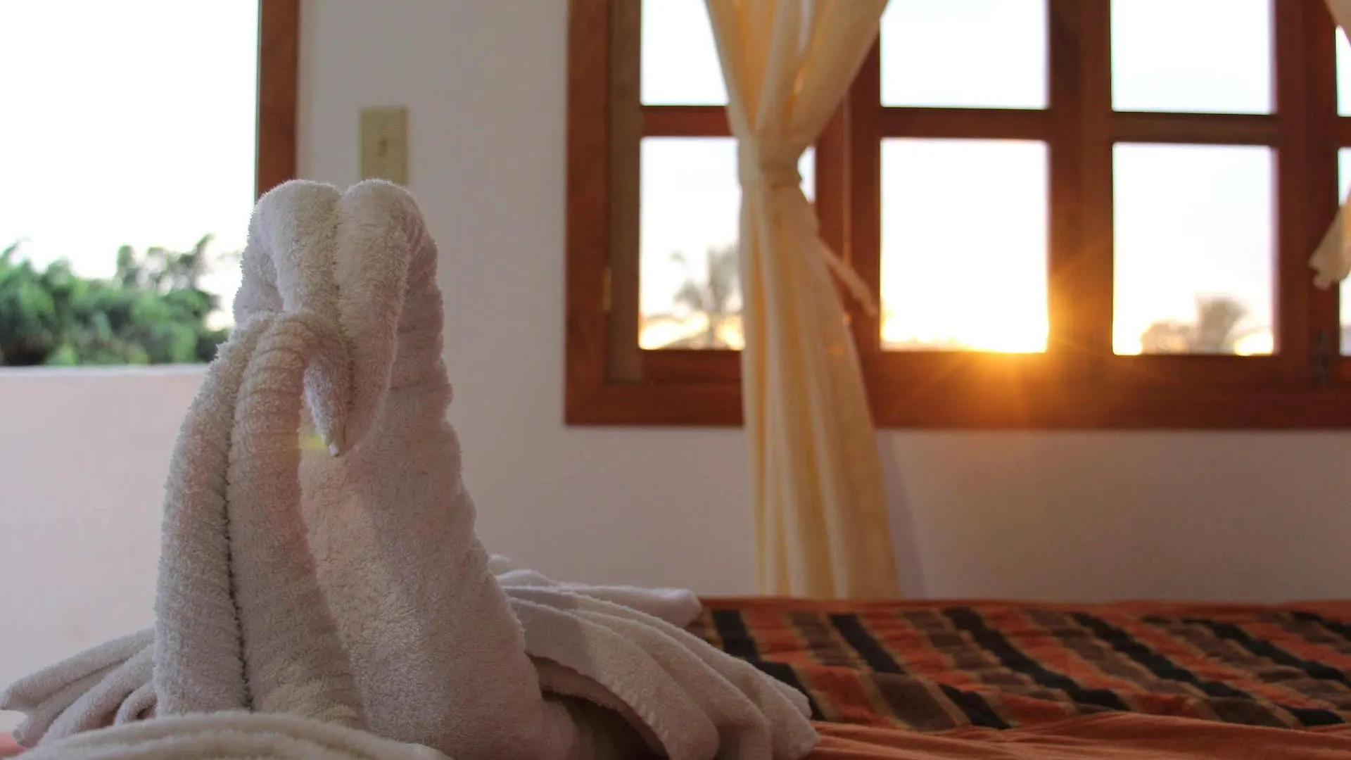 The Galapagos Pearl B&B Puerto Ayora  Bed & Breakfast Puerto Ayora (Galapagos Islands)